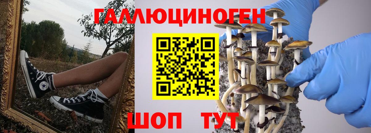 магазин продажи наркотиков  Вход с VPN  Салехард  Галлюциногенные грибы прущие грибы 