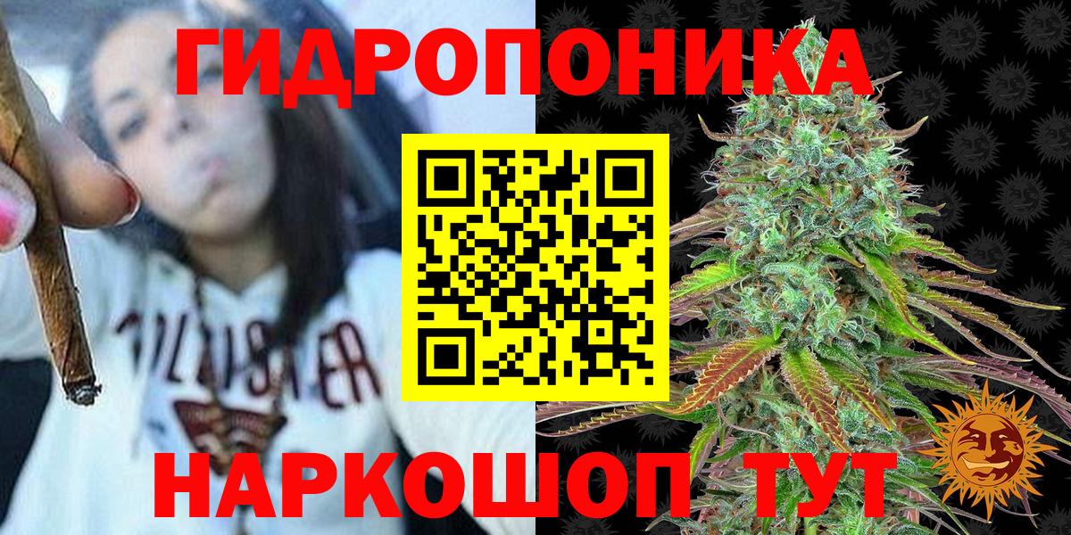 Конопля SATIVA & INDICA  Марихуана Amnesia  Вход с VPN  Бошки Шишки VHQ  Салехард 